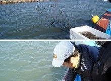 수산종묘(해삼)방류 행사