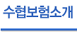 알수 없음