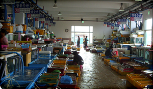 활선어 소매장