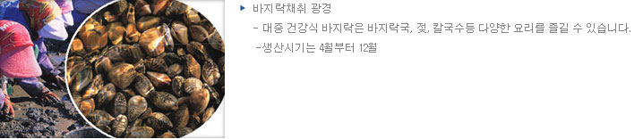 바지락채취 광경 - 대중 건강식 바지락은 바지락국, 젖, 칼국수등 다양한 요리를 즐길 수 있습니다. - 생산시기는 4월부터 12월