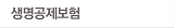 생명공제보험